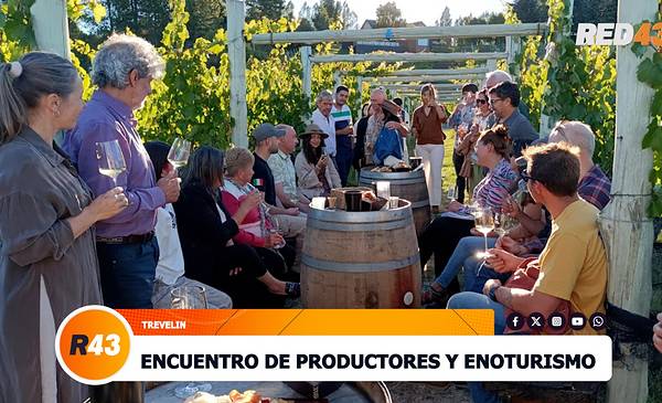 El plan estratégico para integrar viñedos y turismo