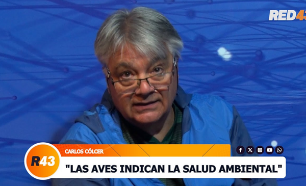 Colcer Carlos Cólcer: