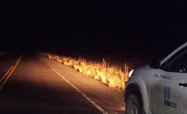 Transitar con precaución por la ruta 40 entre Esquel y Tecka