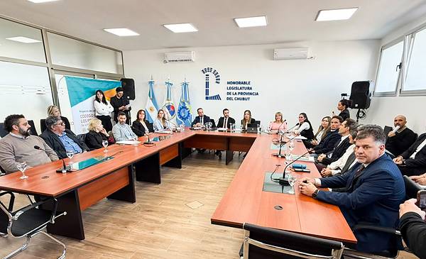 Código de Procesos No Penales: sigue el debate