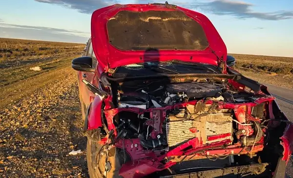 Fuerte choque: un conocido exgobernador impactó contra un guanaco