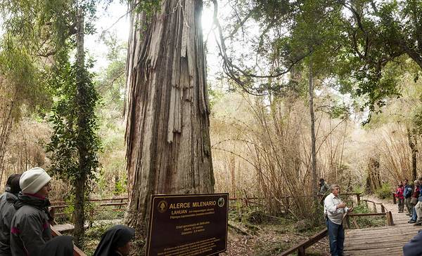 Egresados de la Escuela 705 difundieron el Parque Nacional Los Alerces