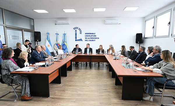 Abogados de Sarmiento pidieron integrar la Comisión Redactora del Código