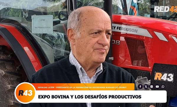 Expo Bovina en Esquel: destacan la calidad de los animales y el potencial ganadero de Chubut