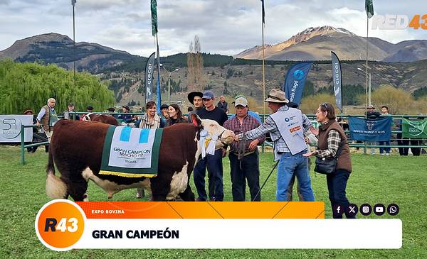 Expo Bovina 2026: estos son los grandes campeones de la Rural de Esquel