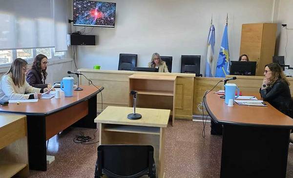 Esquel: Incorporaron dos testimonios a una causa por violencia de género y crueldad animal