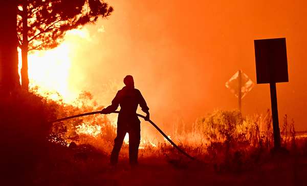 Crean un sistema de IA para detectar incendios forestales en segundos