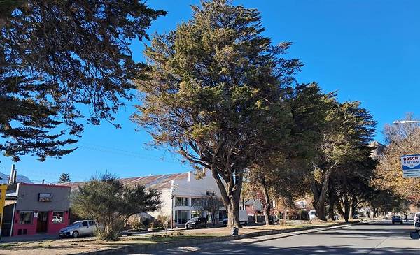 Atención: habrá tareas de mantenimiento en la nueva perforación de Avenida Fontana