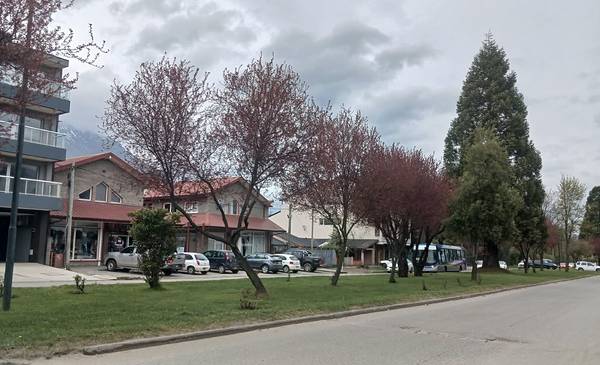La primavera sigue ganando terreno con una tarde de 19°C