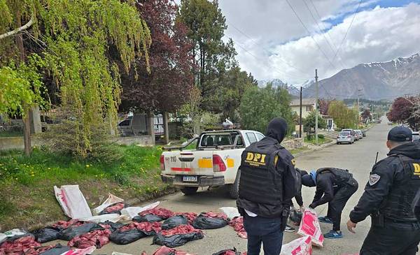 Hallaron carne de guanaco y puma en mal estado y tres cámaras de frío en Esquel