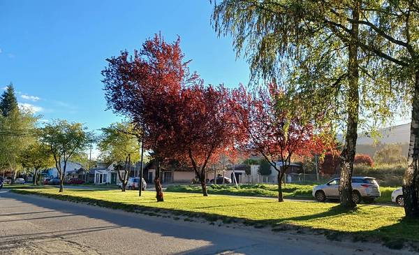 La primavera se puso las pilas justo para el fin de semana