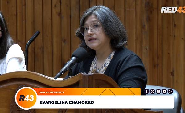 Chamorro cuestionó la judicialización de vecinos de Nahuelpan tras sus manifestaciones en el HCD