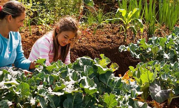 Invitan a taller de biopreparados, feria e intercambio de plantines